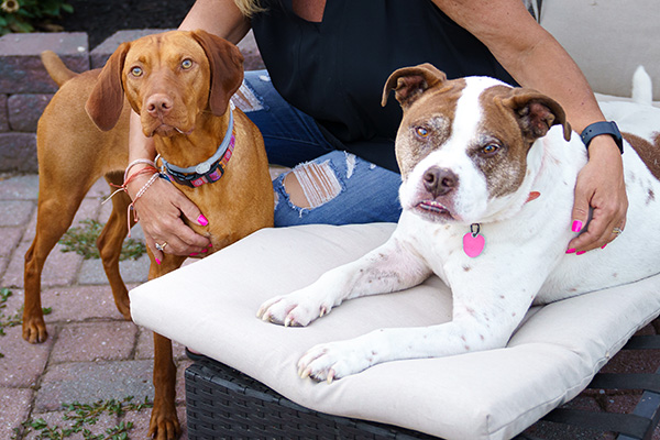 two dogs looking up at a camera