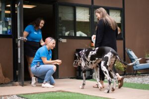 playful pups staff welcoing clients