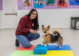 puppy in daycare with friendly staff