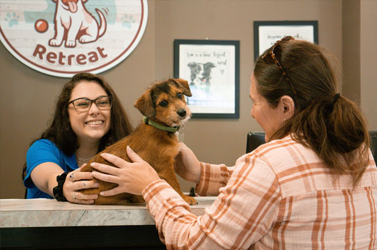 Owner bringing dog to the front desk