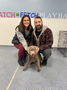 puppy graduating from training