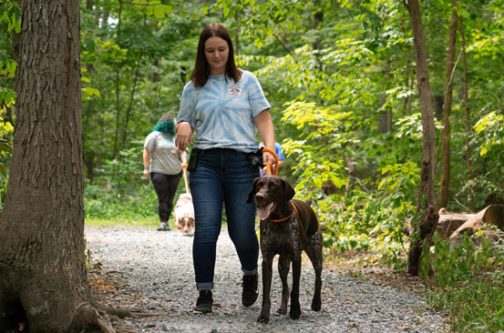 Walking a dog on a nature trail