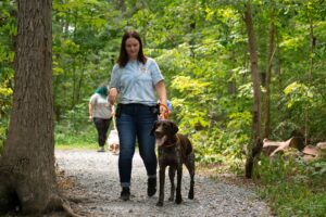 dog walking with person