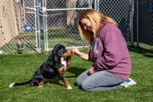 woman in purple coat shaking a dog's paw