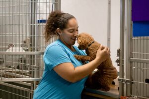 Playful Pups staff with brown dog