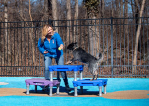 Trainer with Dog at Playful Pups Retreat