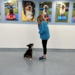 Trainer with Dog at Playful Pups Retreat