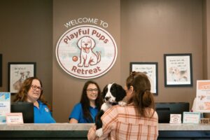 playful pups retreat reception area with staff and guests